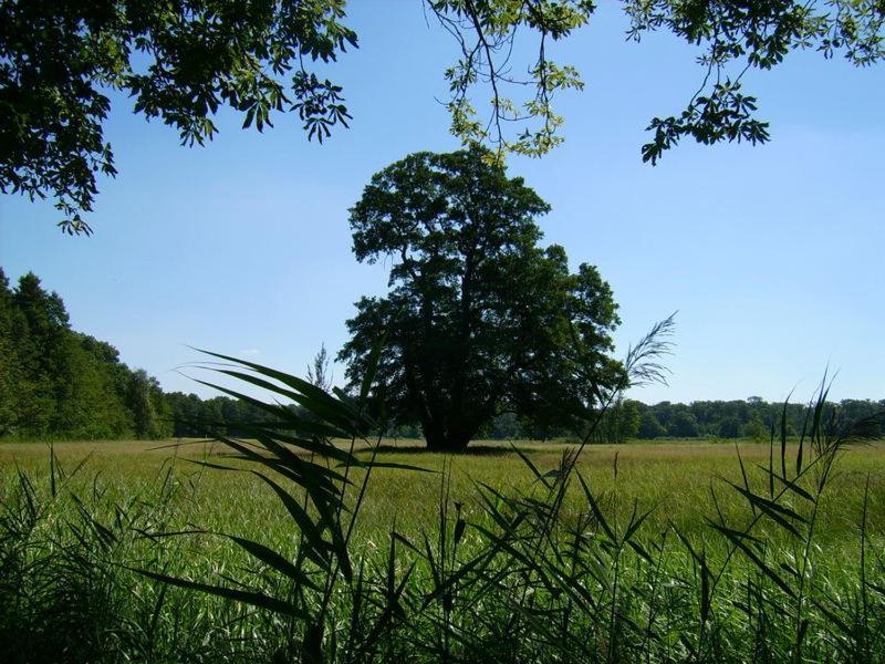 Jagdschloss Moenchbruch Mörfelden-Walldorf Zewnętrze zdjęcie