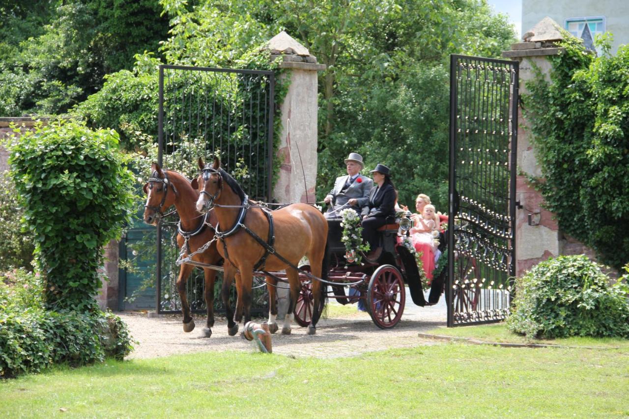 Jagdschloss Moenchbruch Mörfelden-Walldorf Zewnętrze zdjęcie